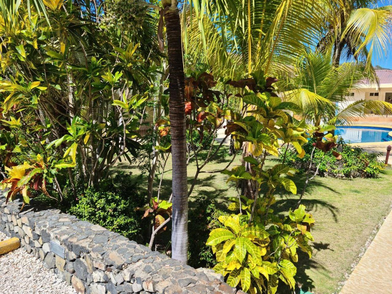 Hermosa Paradise 普拉亚埃尔莫萨 外观 照片